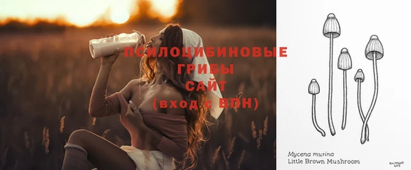 apvp Болхов