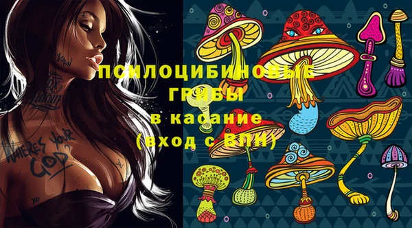 хмурый Богданович