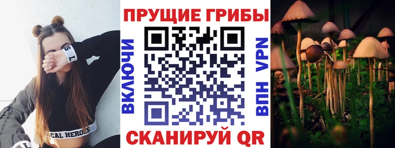 Галлюциногенные грибы Psilocybine cubensis  Гулькевичи 
